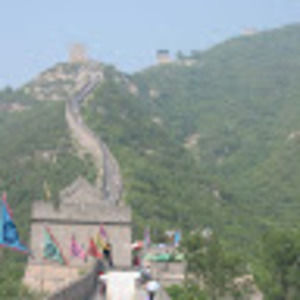 Meet your Posher, William